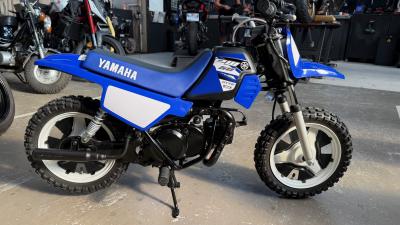 YAMAHA PW50